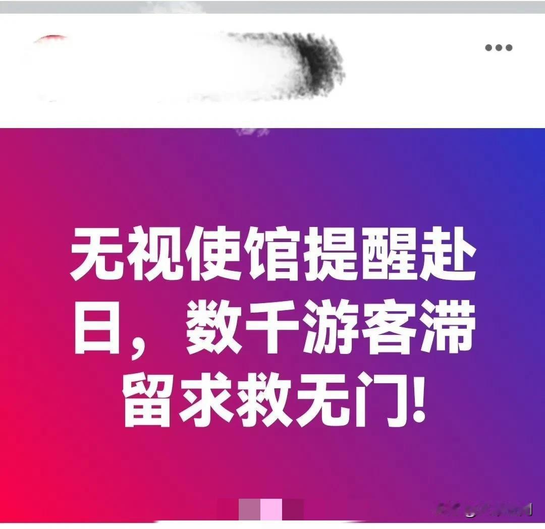 那群无视提醒坚持去日本旅游的人，报应来了，前几天还有几个接受日本人采访，叫嚣自己