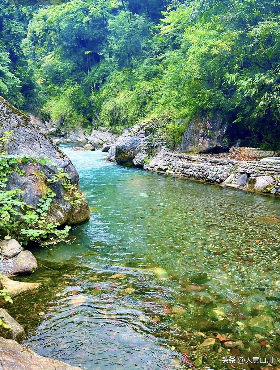 成都超级清凉野溪，避暑耍水遛娃宝地，不在都江堰，出城2h
当地人称这条溪叫水菜溪