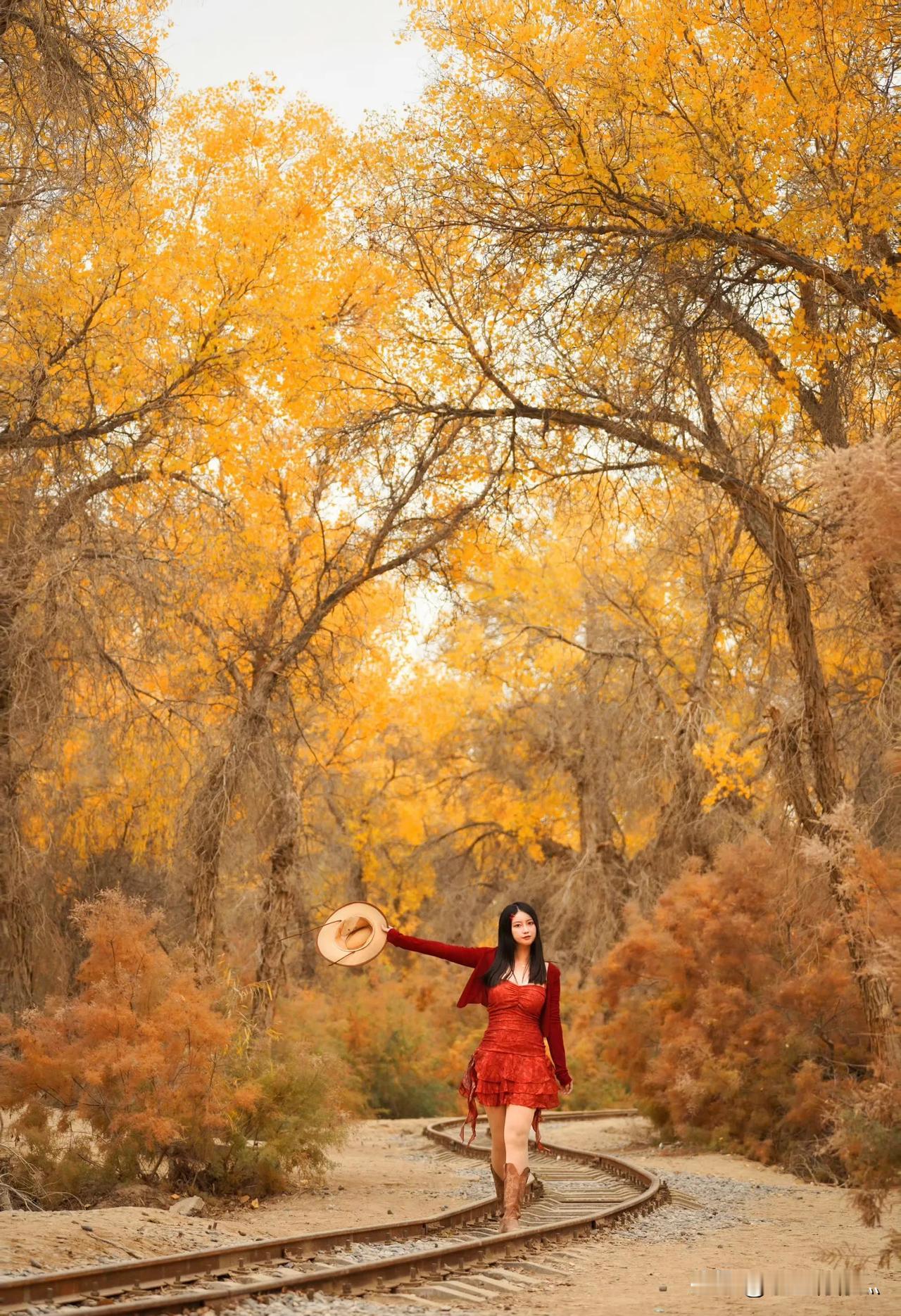 发发上个月底南疆的胡杨林 🍂 那美得出奇！放眼望去，满是金黄，好似金色阳光遍洒