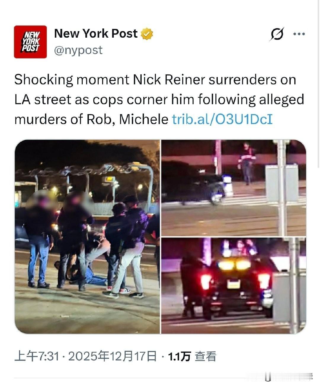 惊人瞬间：Nick Reiner在洛杉矶街头被警察包围后投降，此前他涉嫌杀害Ro