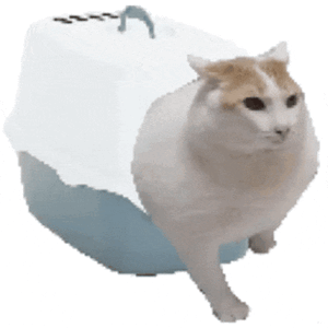 找到我和猫都能吃很好的办法了终于摸透咋让我和猫都吃爽啦！我炫我的小炒肉盖饭，猫嘎