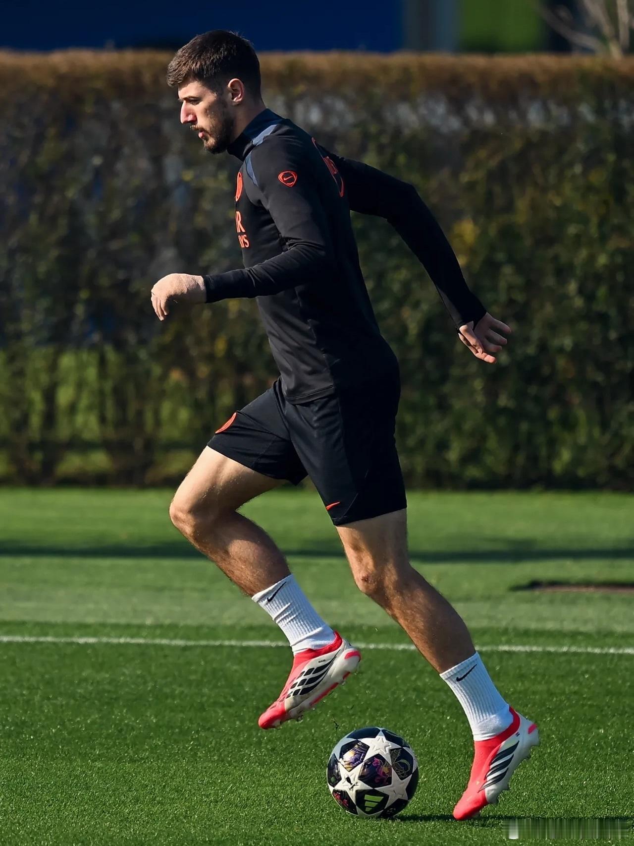 国际米兰将帅在阿皮亚诺备战欧冠附加赛国际米兰意甲欧冠﻿﻿