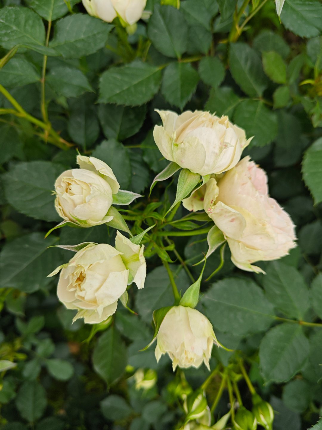 每天都是新的开始，一定要加油！