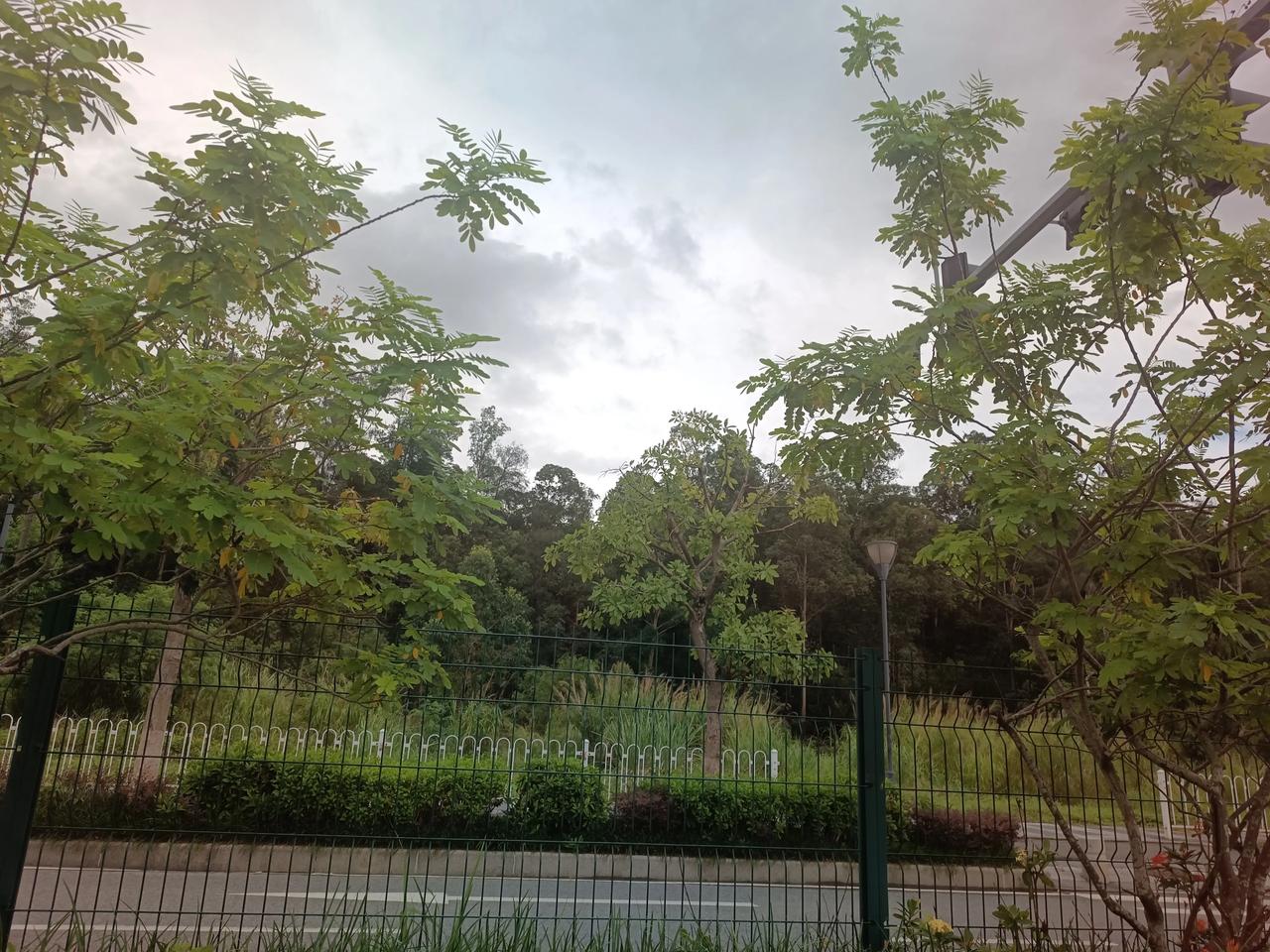 今天没有写征文了
感觉轻松一点
出去散散心
看看风景
享受大自然的美
心情豁然开