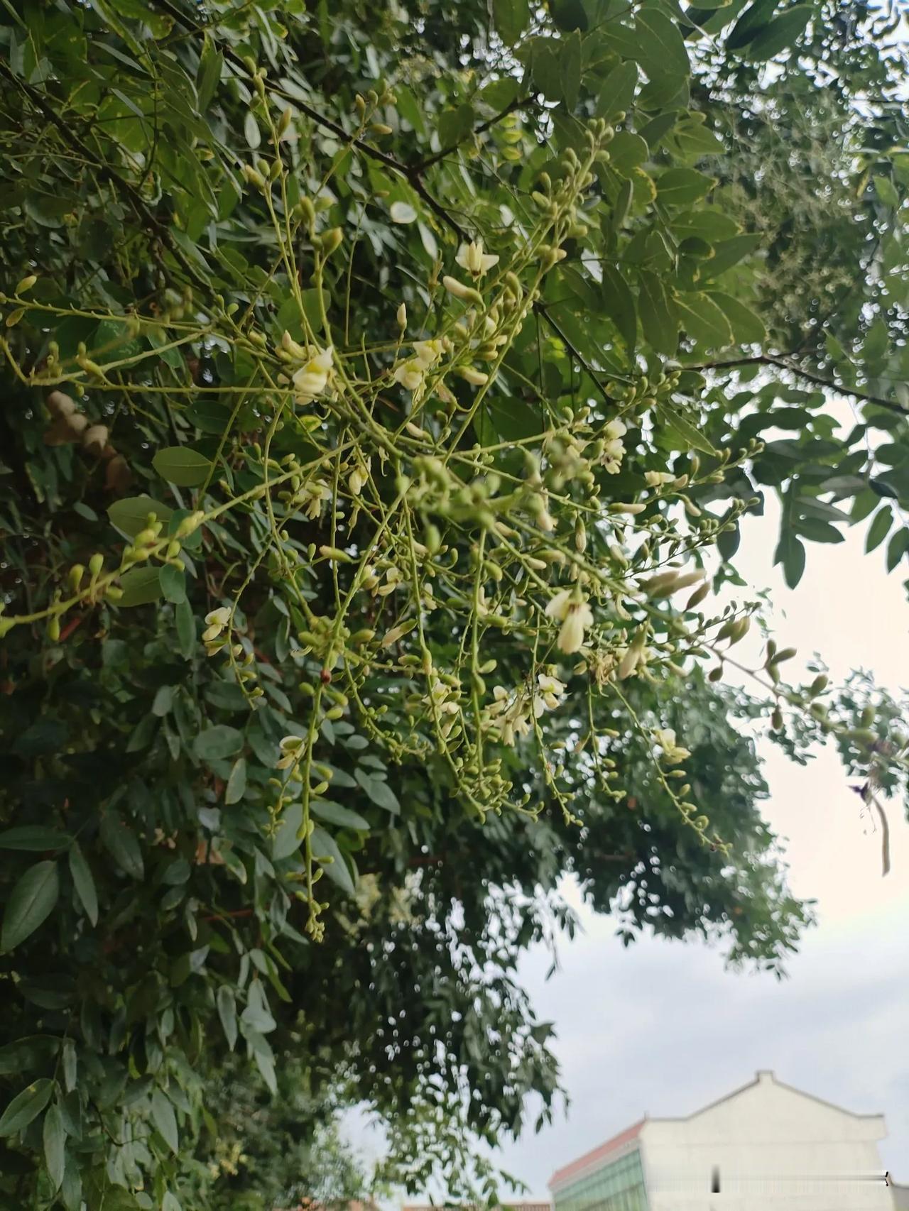 秋日生活打卡季