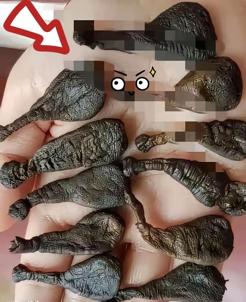 昨晚这一翻，差点没把我魂吓飞！16岁的弟弟打完球回来，我顺手帮他收拾背包，手刚伸
