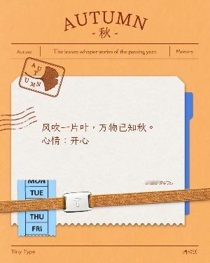 在给我的小男孩拼豆的时候，突然记忆回溯想起前任之前和我炫耀，说之前有个女生喜欢他