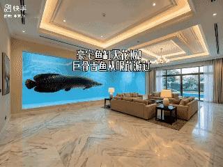 豪宅鱼缸天花板！[泣不成声]