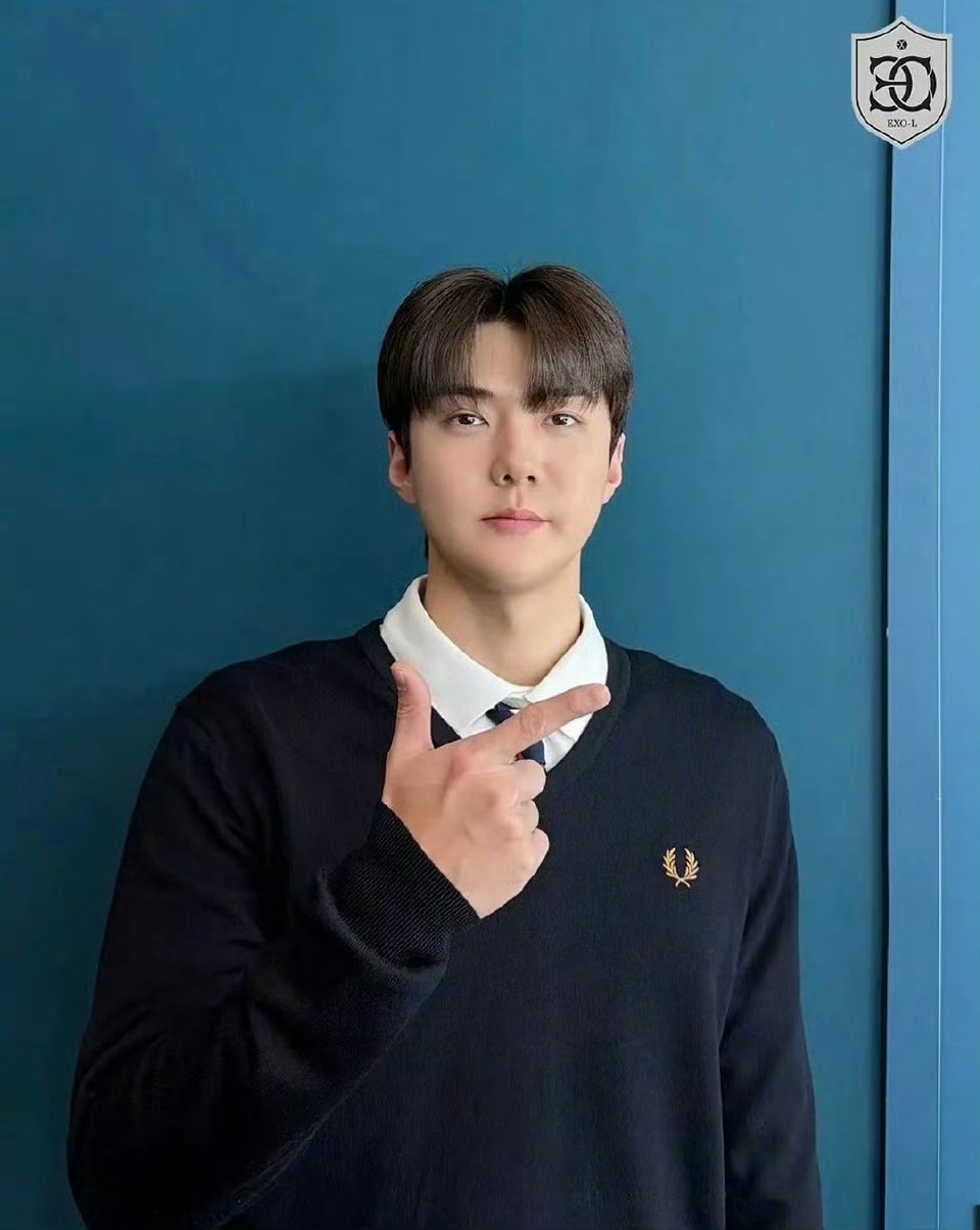 网友说韩国颜值代表只剩吴世勋了，吴世勋这……韩国国旗 车银优车银优被韩网友喊话退