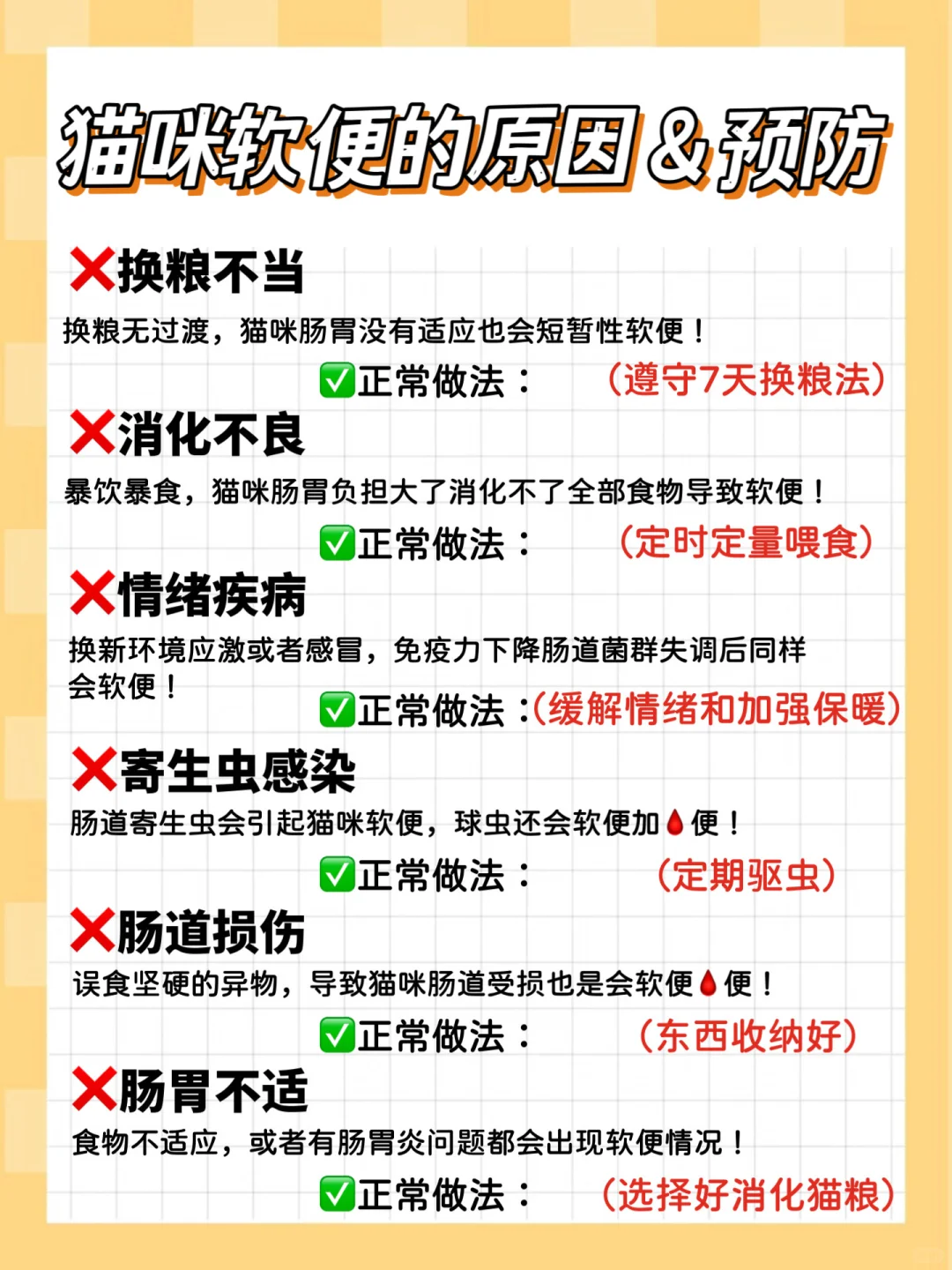 猫咪玻璃胃？终于让我找到解决办法了‼️