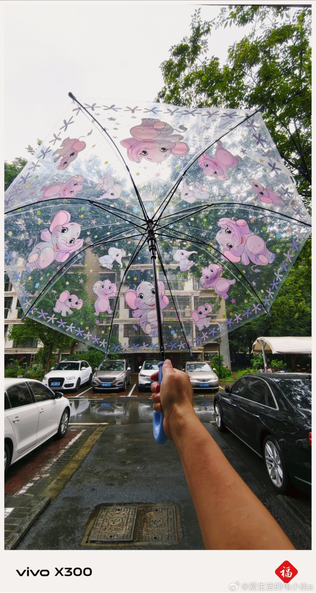 下雨🌧啦把家里简单收拾一下老两口出门溜达日常