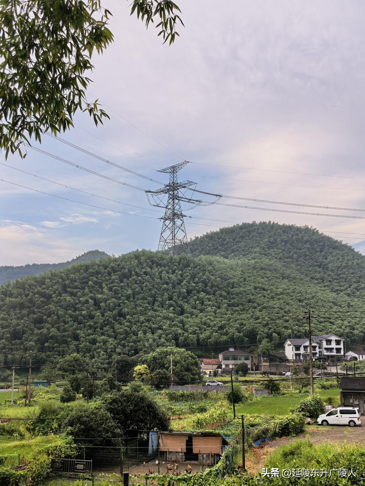 空山新雨后，天气夏转秋。
暑气虽未退，闷热不久留。
小径幽深远，蚊虫随人走。
回