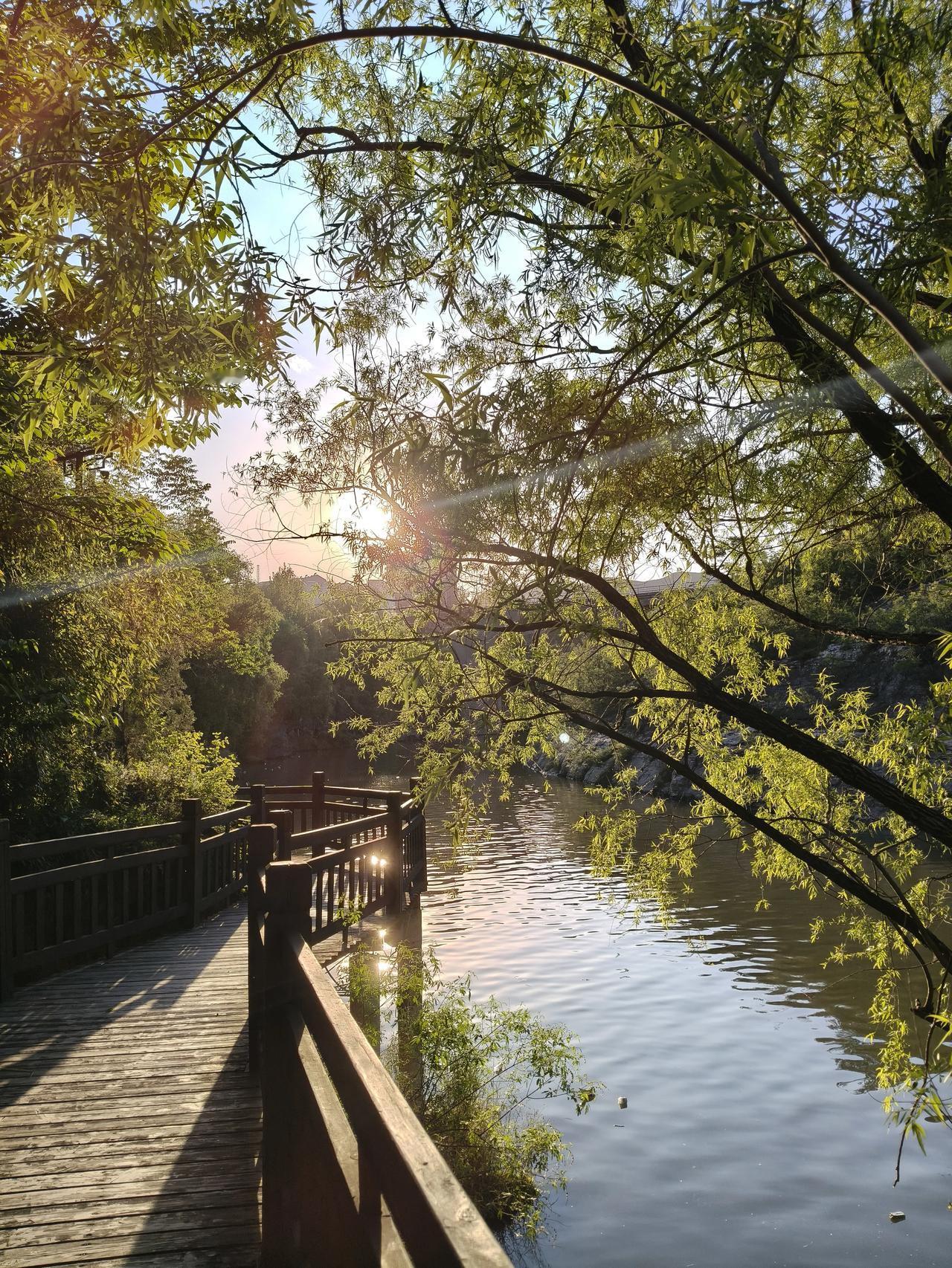 夕阳穿过层层柳丝，把金辉细细洒在水面与木栈道上。水波漾着粼粼碎光，晚风裹着草木的