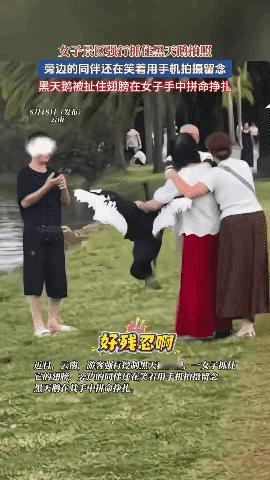 太丢人！8月18日云南弥勒湖泉生态园，一旅游团大妈为满足个人打卡需求，竟直接上手