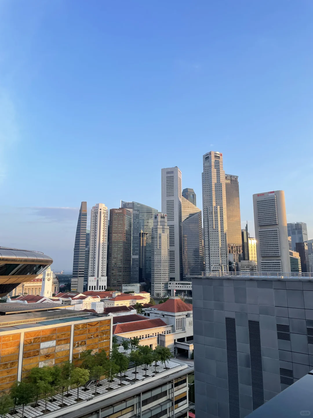 🇸🇬我去新加坡只干三件事。。。。
