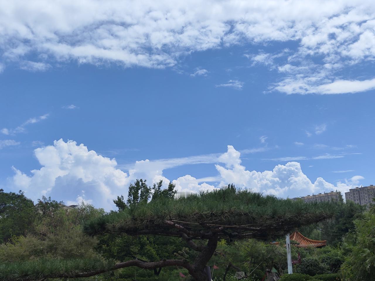 在中国人的传统道德观念中，有功不争功，做好事不留名。应该是一个美德！可是，有些年