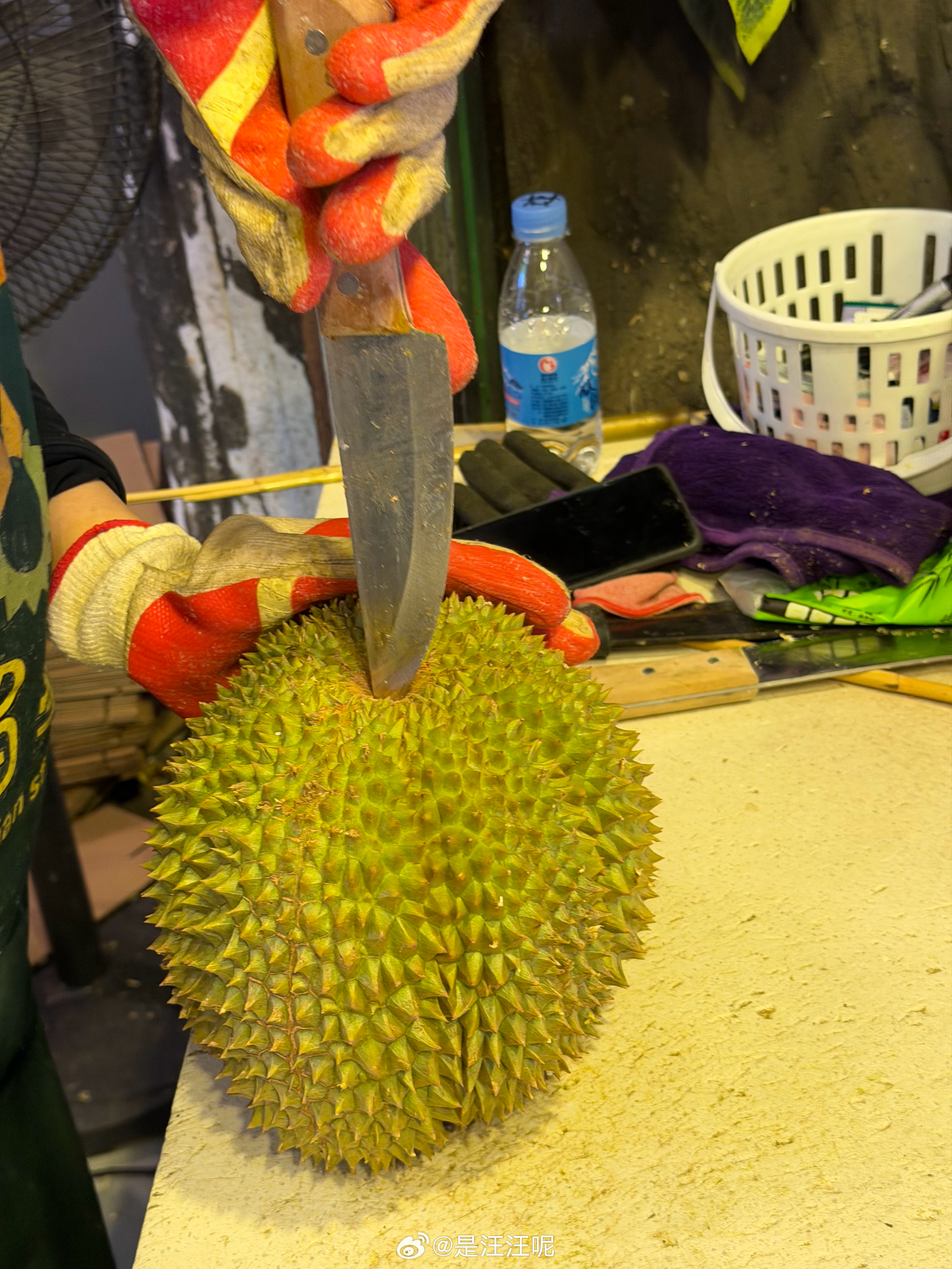 谁懂，一眼路过水果摊，就相中了这一颗压在底下的榴莲！叫什么甲伦榴莲，太太太优秀了