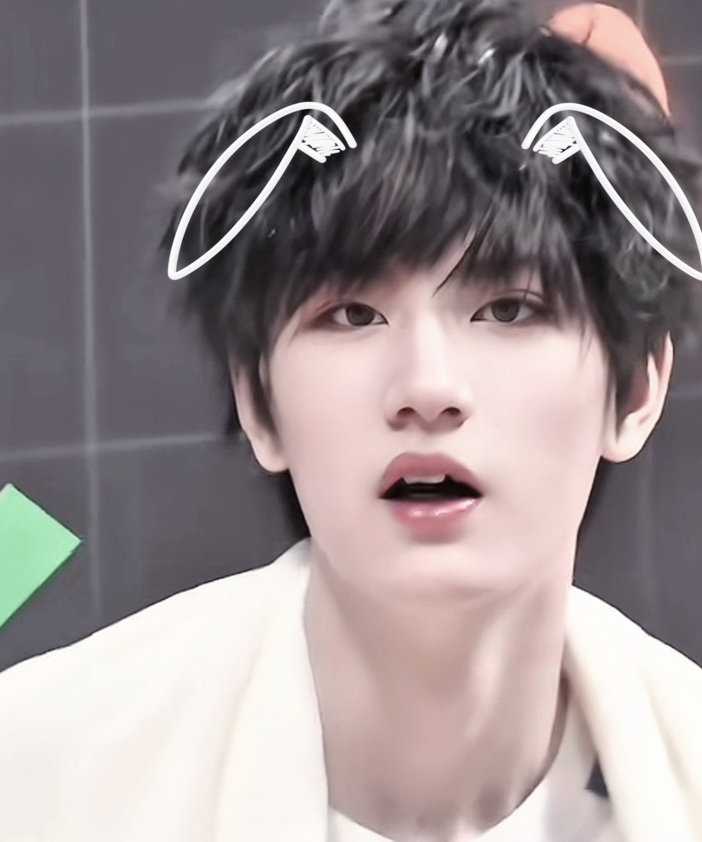 他只是一只小兔子🐰 ​​​