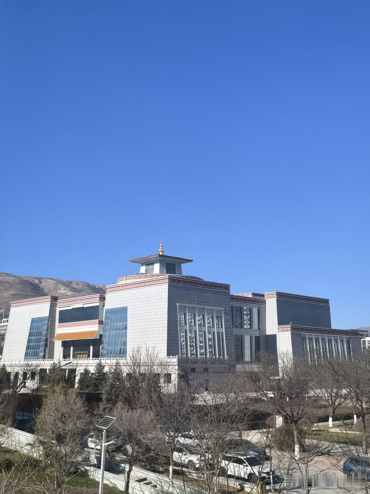 今儿西宁的天气儿晒着就舒坦呐，既是五九的头一天，又赶上腊八节，好日子都赶到一搭里