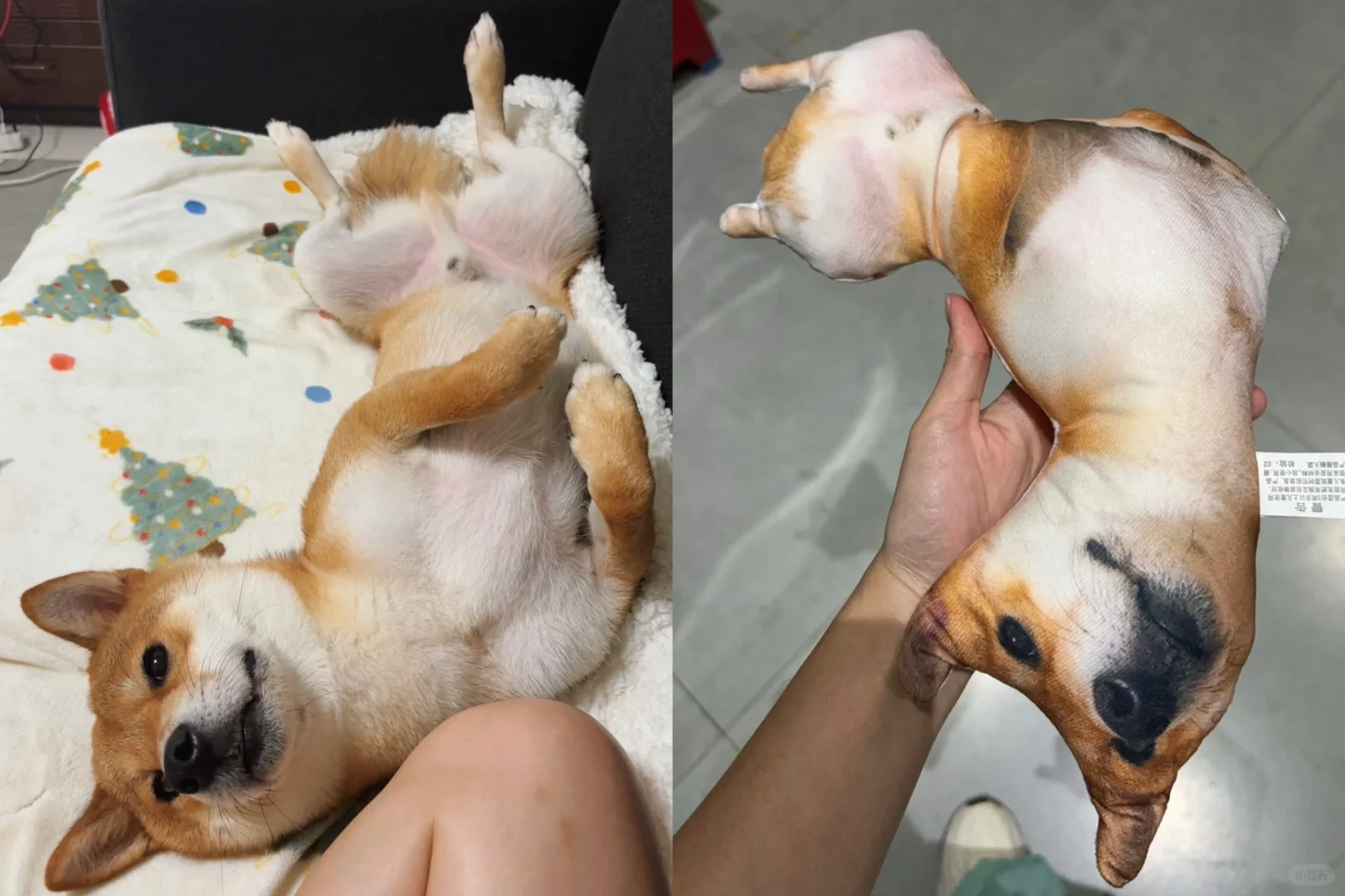 都给我进来笑哈哈哈哈哈哈