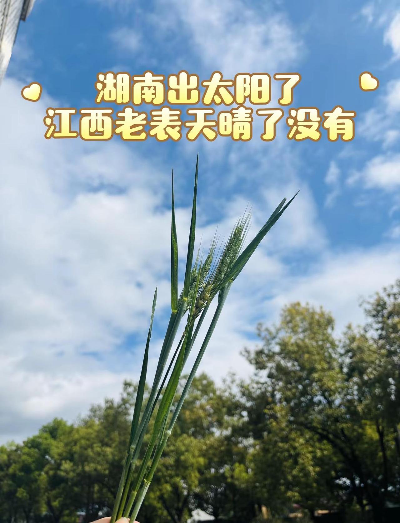 湖南出太阳了，江西老表天晴了没有