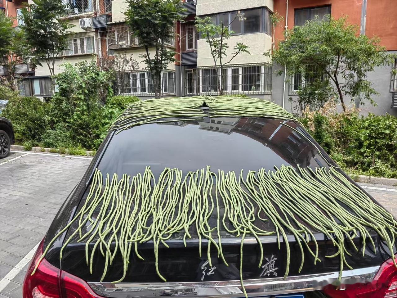 小米YU7发布了，但是我却无感….我还是喜欢红旗车！不仅颜值高，同途也多的多[抠