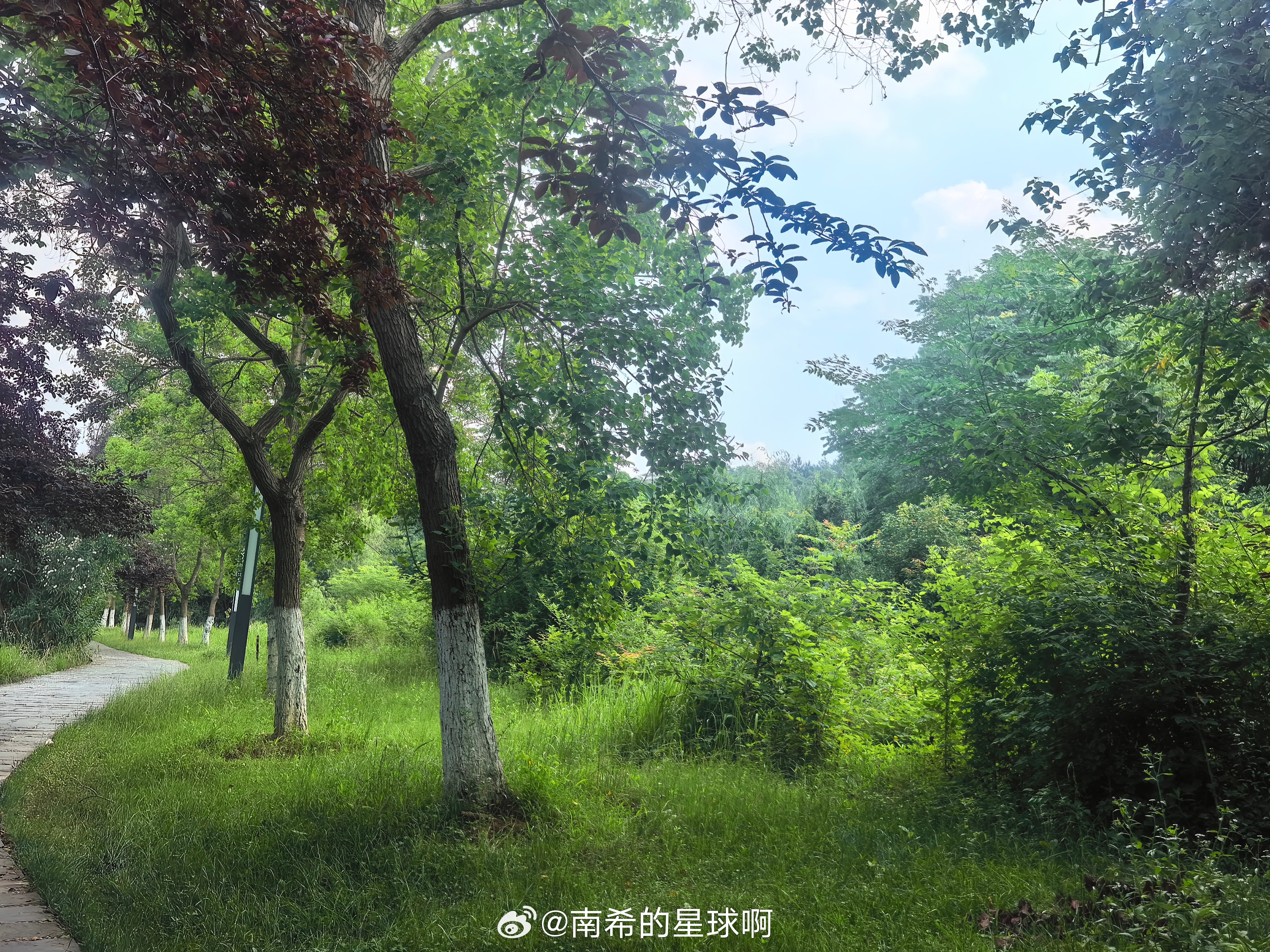 退休第一步就是学会慢生活，什么都慢慢的，长期练习，心也就慢下来了。慢，也是养自己