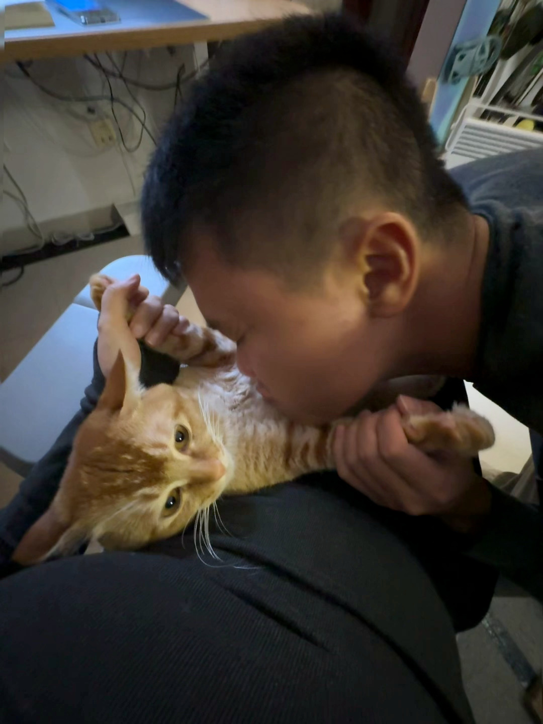 男子曝面试模特被男面试官猥亵  某种程度上，猫咪帮助人类缓解了一部分变态的想法…