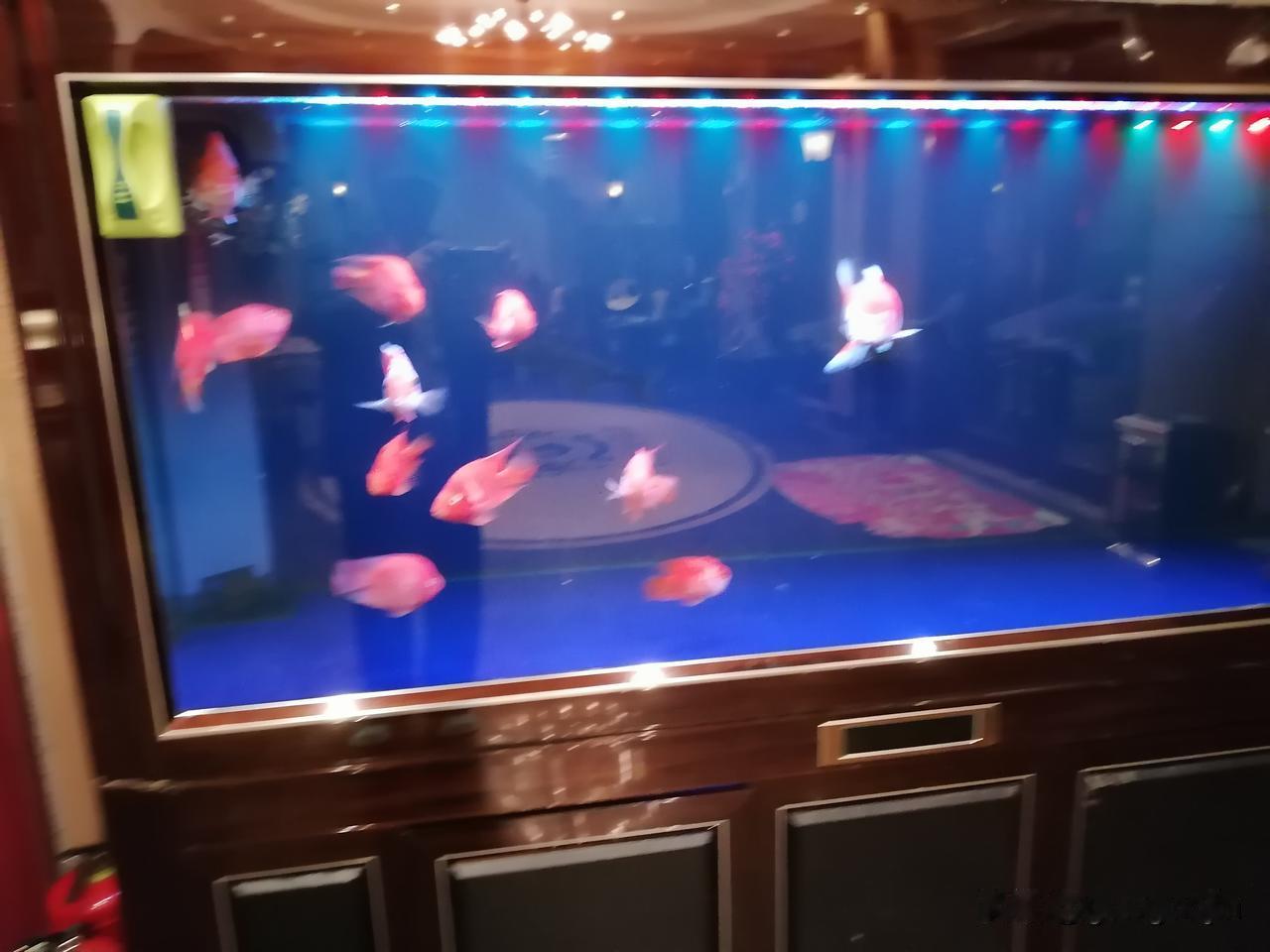 我常在拼多多，淘宝，京东，抖音商城买东西。比较一下拼多多种类繁多，小啇店更多，往