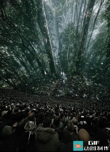 不懂就问。
这个算多少D的？