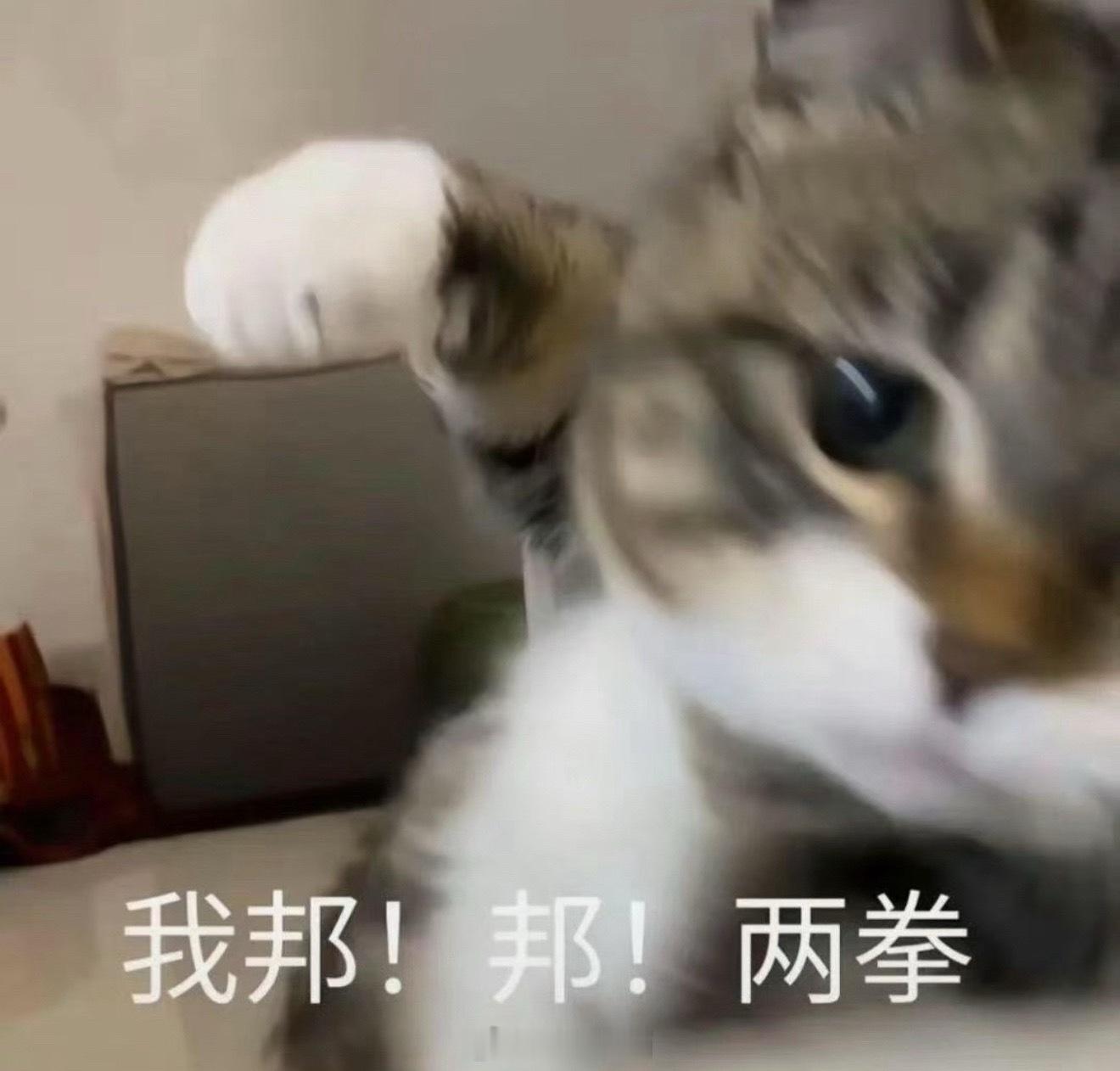 哈哈个凑不要脸 