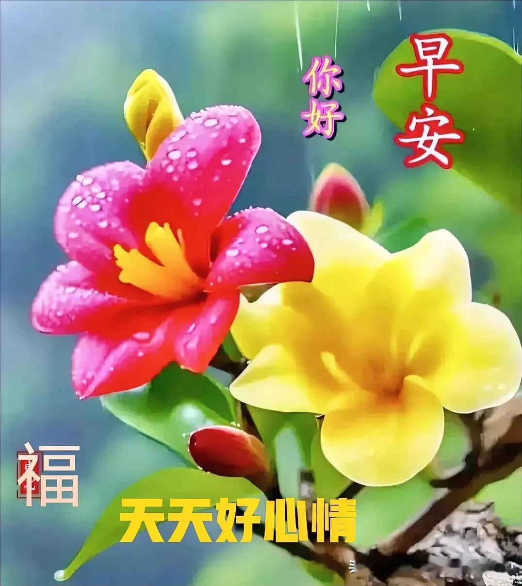 心干净活得舒服，
开心快乐心不苦；

单纯走好人生路，
日子平淡却幸福。
[福]