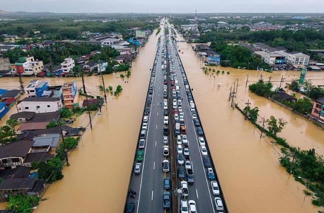 泰国总理正式宣布了！2025年12月4日，泰国总理阿努廷签了个命令，说从第二天也