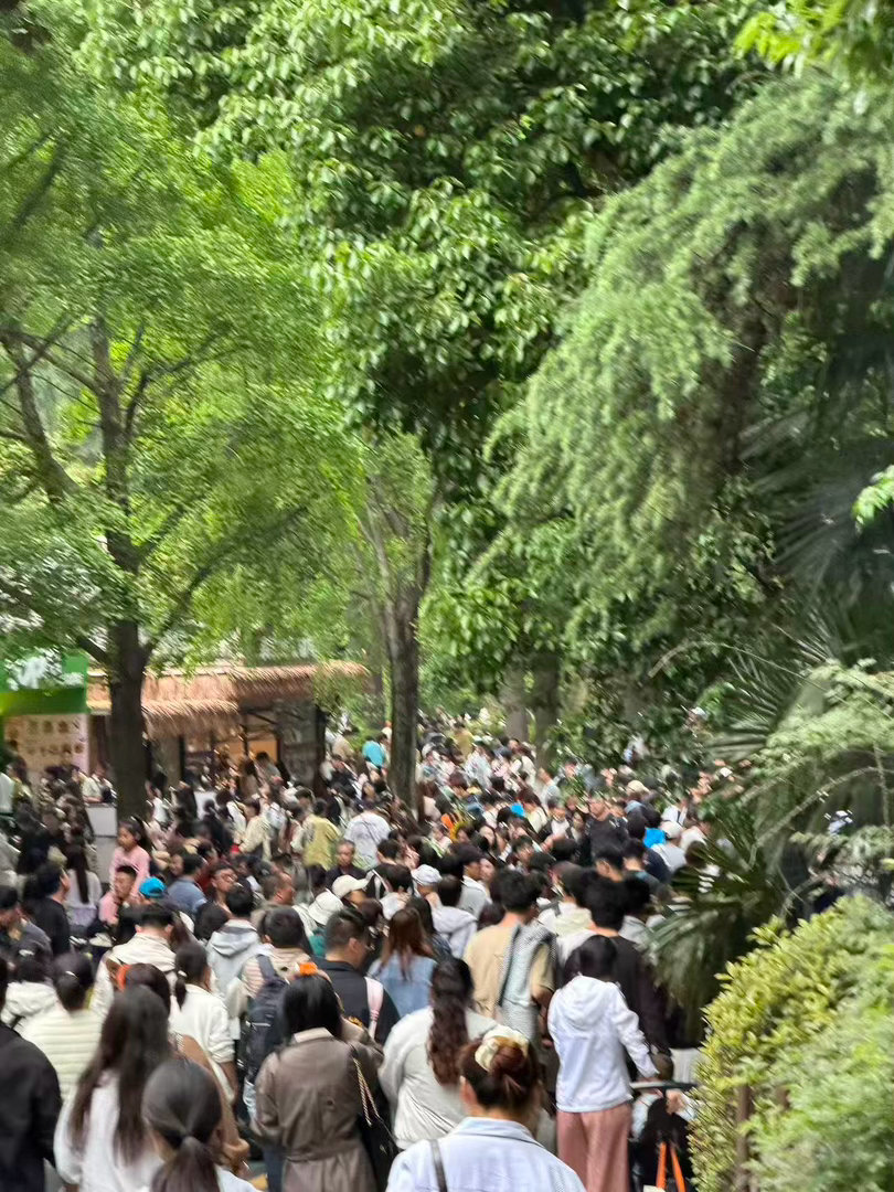 依萍来南京都要嗑两把瓜子再走常州对决的期待值暂且放缓，南京当下最热闹的，是风雨无