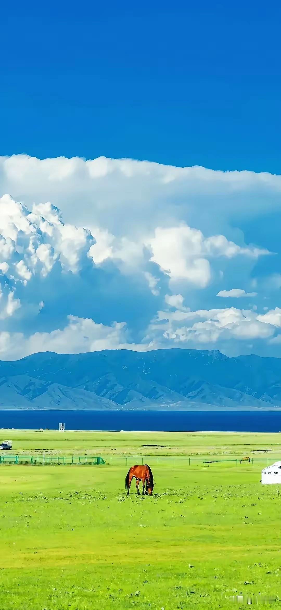 余华说：“有的女孩，可以什么都不用做，嫁得良人，一生幸福；有的女孩，天生善良，却