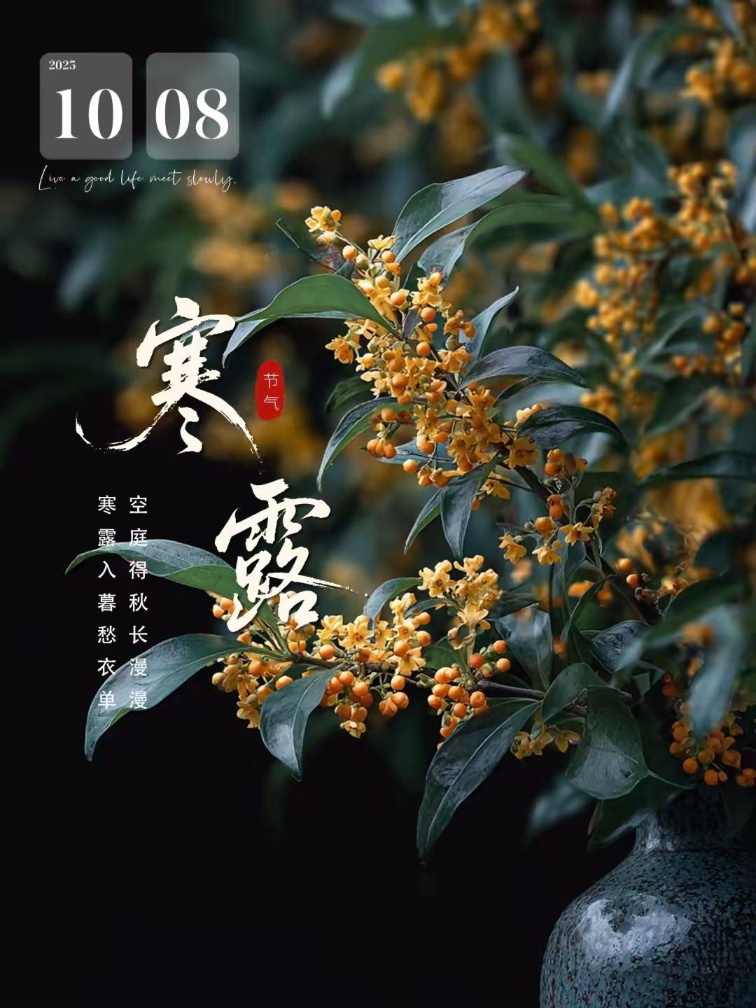 🍒²⁰²⁵/₁₀.₀₈ 🍂
凉风起，露凝新凉
晚秋至,  霜染枫丹
寒气生，
