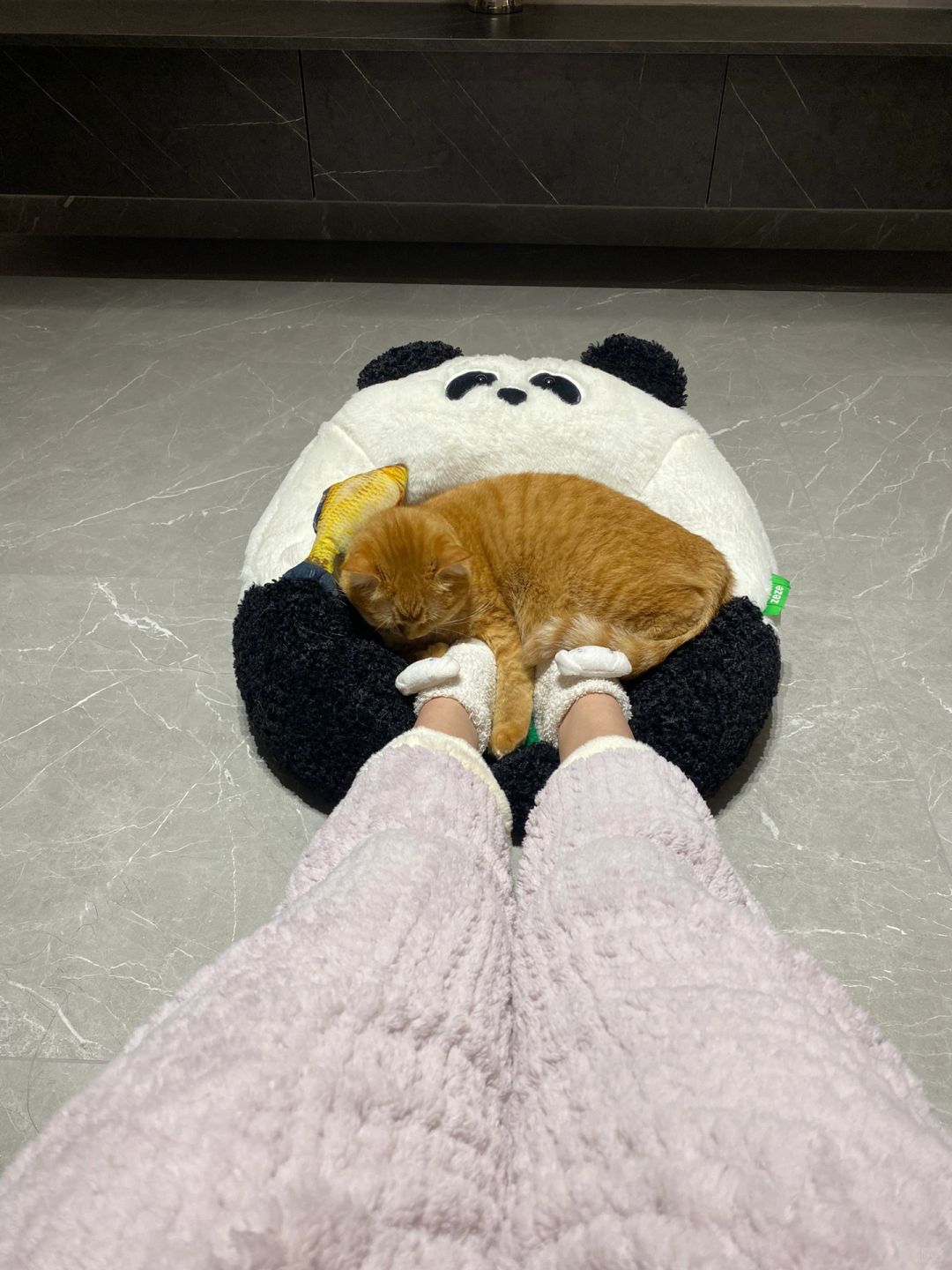 家人们，脚麻了……怎么办🙈