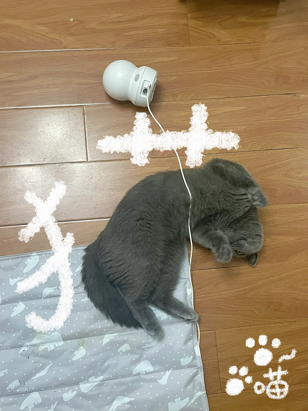 私密马赛麻麻酱，是摄像头先动手的