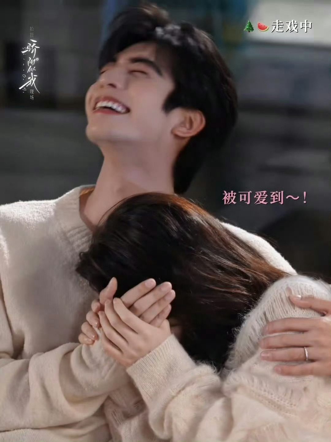 宋威龙赵今麦婚后沙发吻 啊啊啊啊啊啊宋威龙赵今麦婚后沙发吻kswl顾漫真是又会写