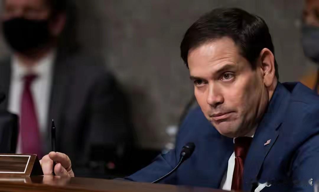 就在今天，俄美乌关键谈判开场，欧盟密件曝光，德法紧急出手