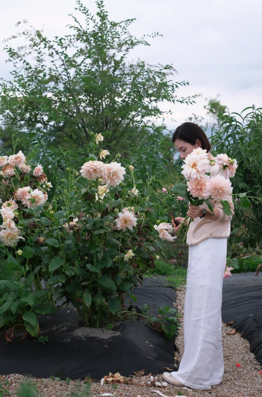 在鲜花和爱里长大