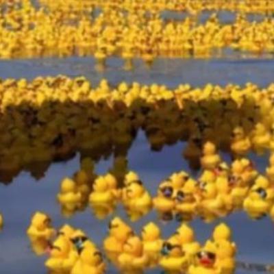 1992年，我国一艘货轮上28000多只小黄鸭因意外掉入 太平洋 ，没想到这些小