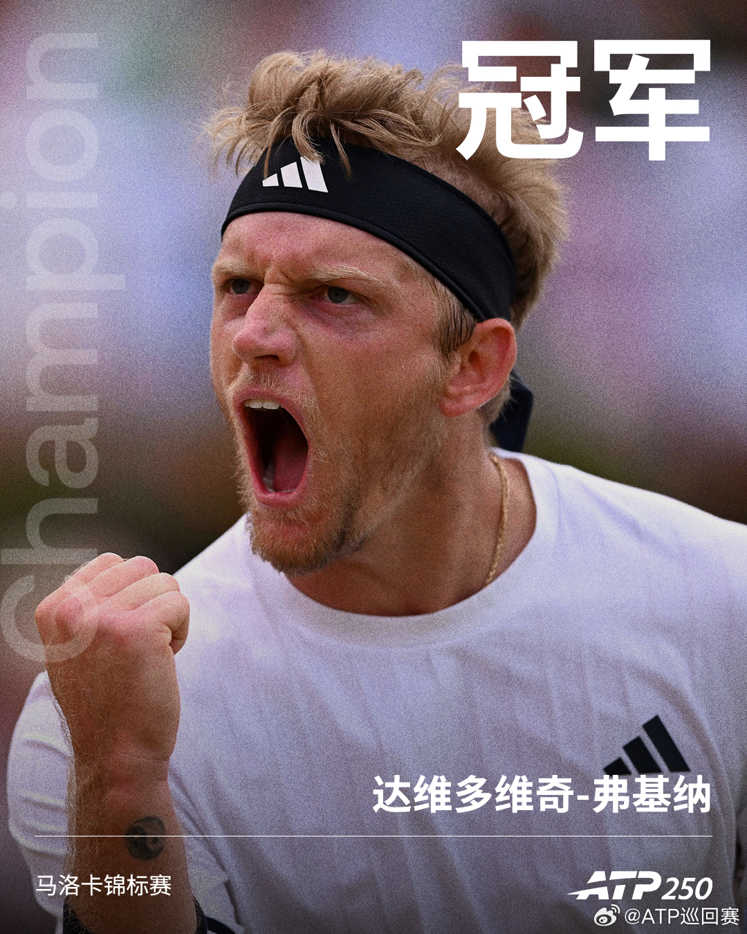 ATP250 马洛卡锦标赛单打冠军：亚历杭德罗·达维多维奇-福基纳👏网来不息A