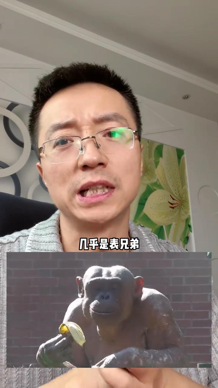 李老师，为什么人类的染色体是23对，黑猩猩24对？人类的基因是不是被动过？你觉得