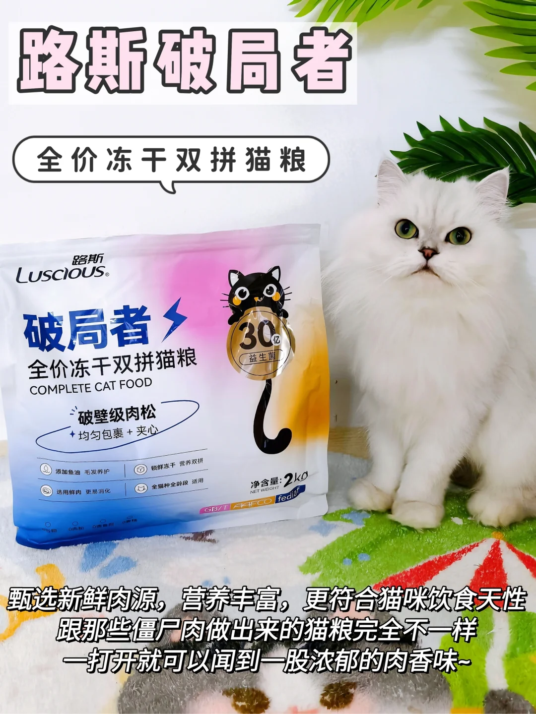 这波猫粮真的赢了！双十一不囤！怕后悔哭❌