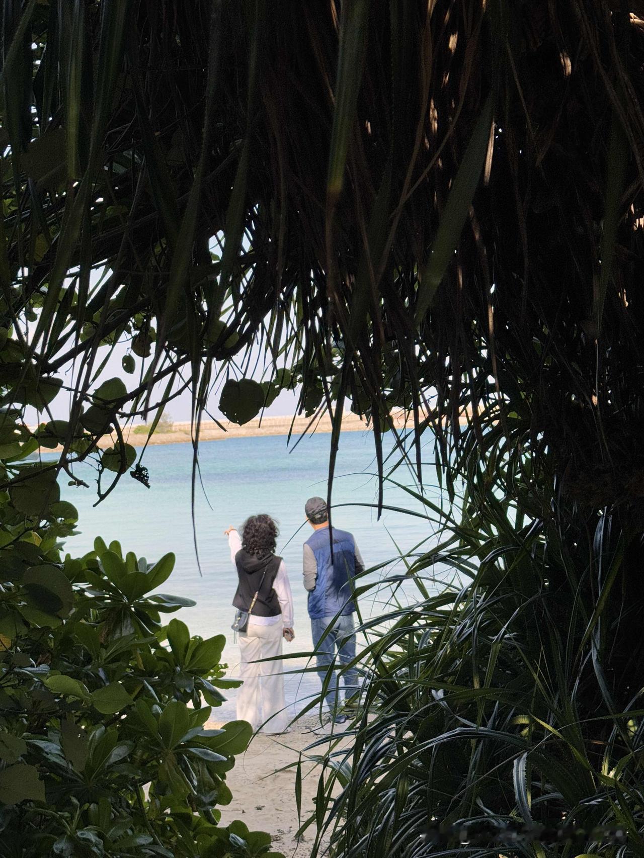 今年避暑和越冬的目的地已基本敲定，避暑优选国内的西北、东北地区；越冬则锁定南欧的