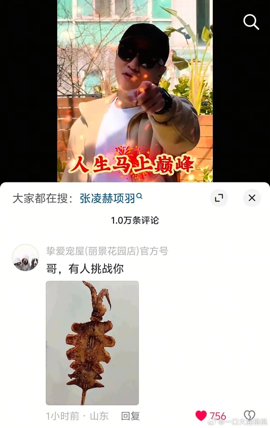 抖上给我推了好多🐮那个角色和何润东项羽的🆚，难道这就是战略