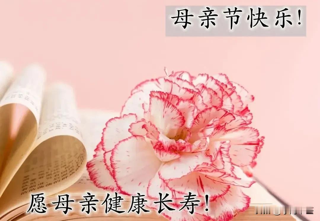 母亲节！天地悠悠，感恩母亲！
妈妈的世界，
小得只能装下一个你！

时光嗖的一下