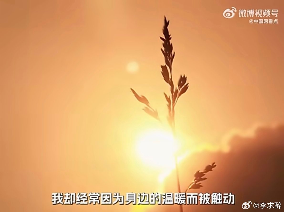 小吃店老板给求职女孩13元免单鼓励深圳人看似冷漠其实最有人情味深圳常被指“冷漠”