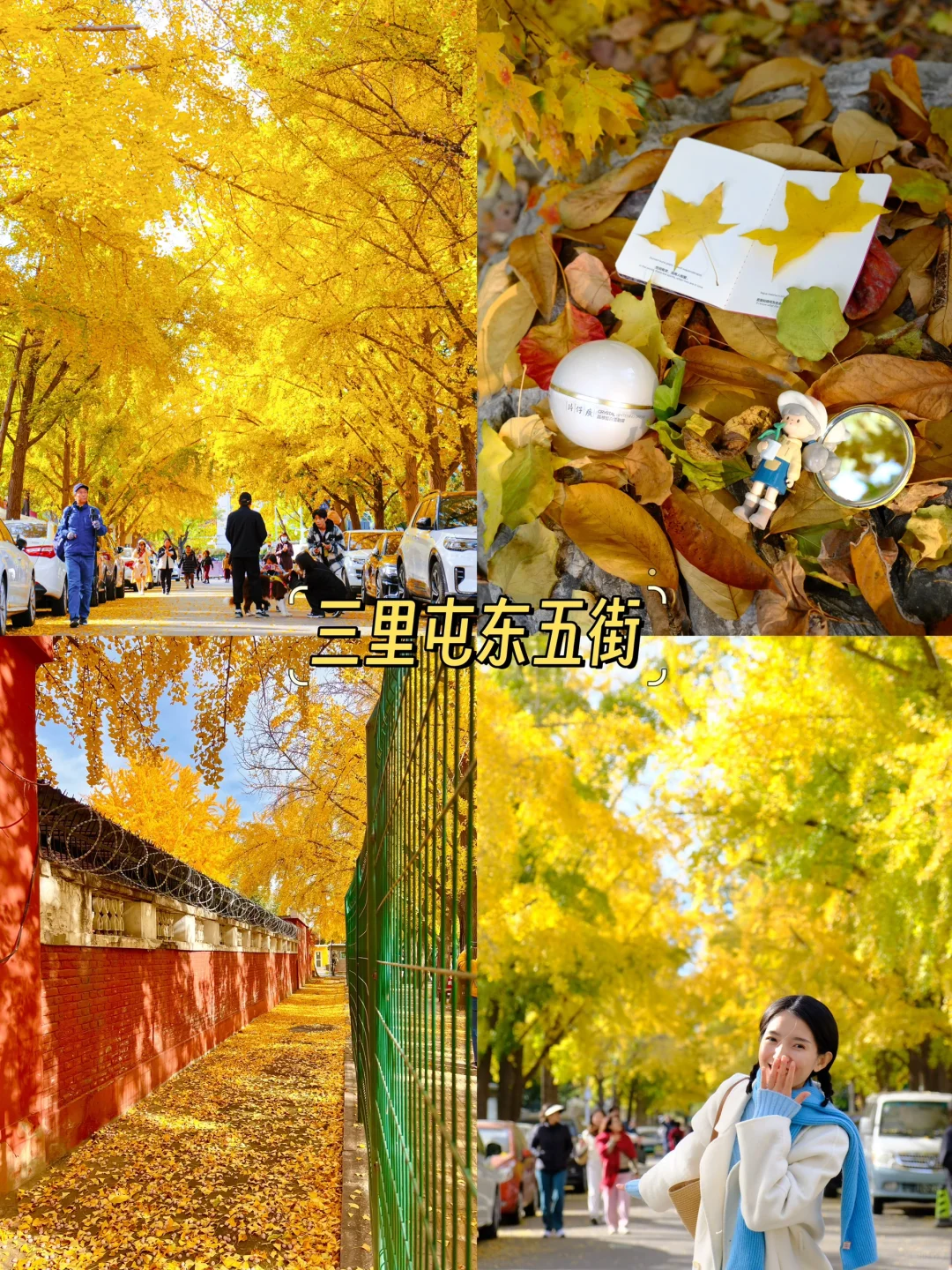 11.7 实拍 live，北京市内9️⃣个银杏盛开地❗️
